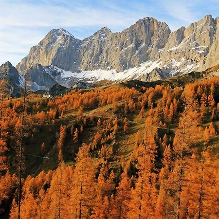 Pension Adlerhorst Ramsau am Dachstein Zewnętrze zdjęcie